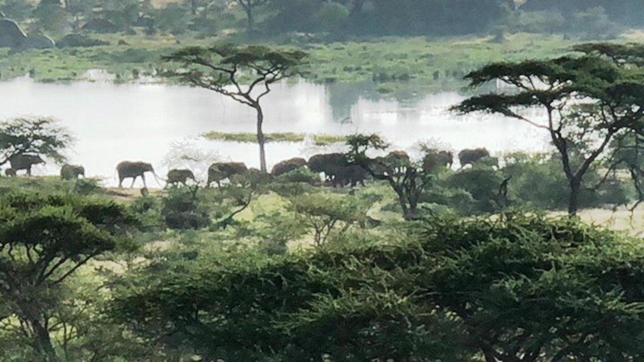 סרנגטי Seronera Wildlife Lodge מראה חיצוני תמונה